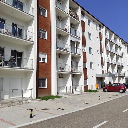 Apartman Goca Banja Koviljaca Exterior photo