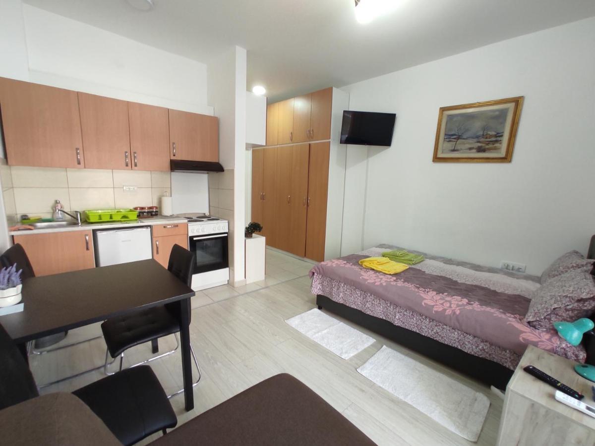Apartman Goca Banja Koviljaca Exterior photo